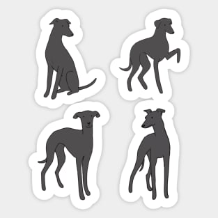 italian greyhoun pack Sticker